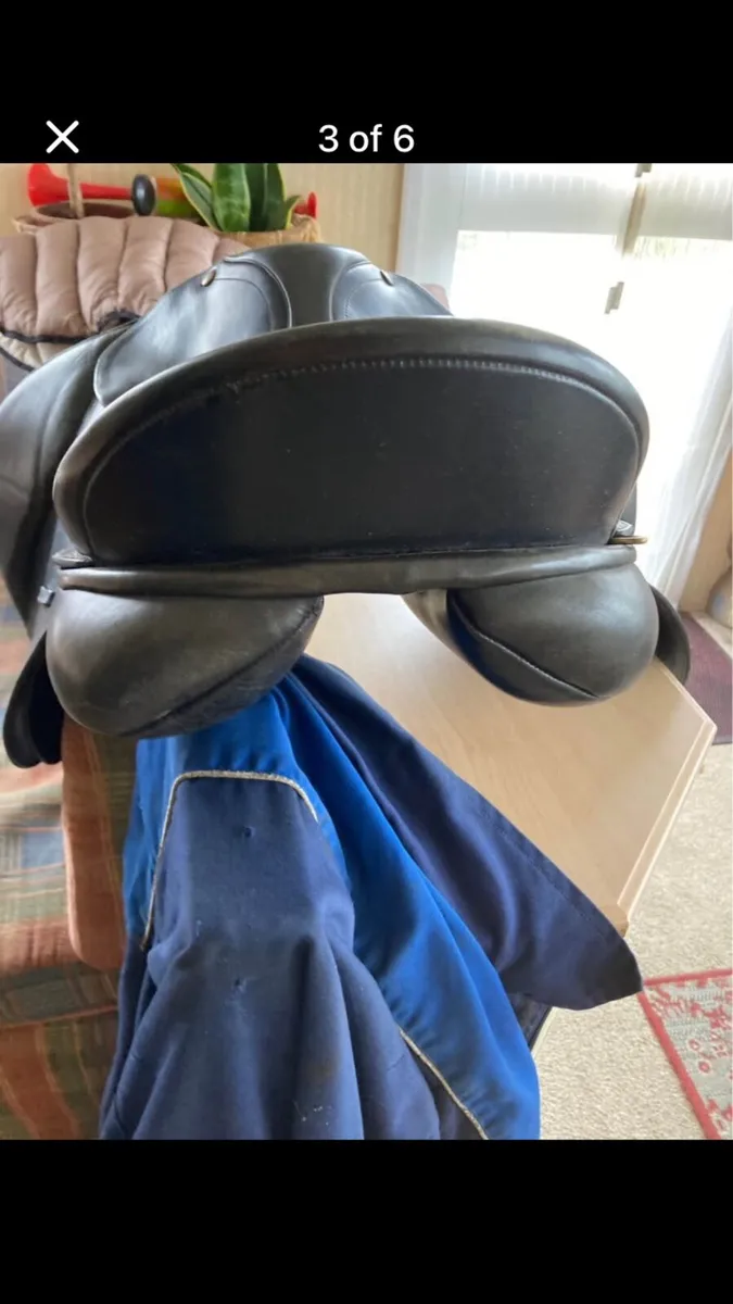 Bates caprilli saddle - Image 3