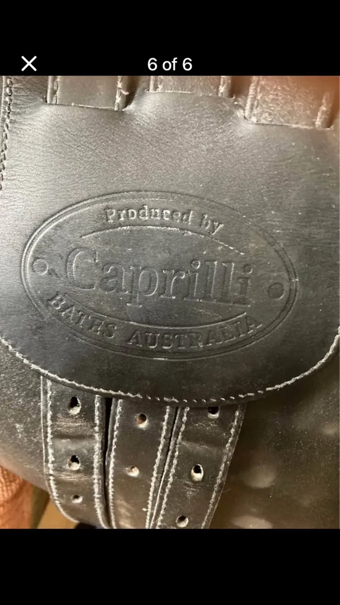 Bates caprilli saddle - Image 4