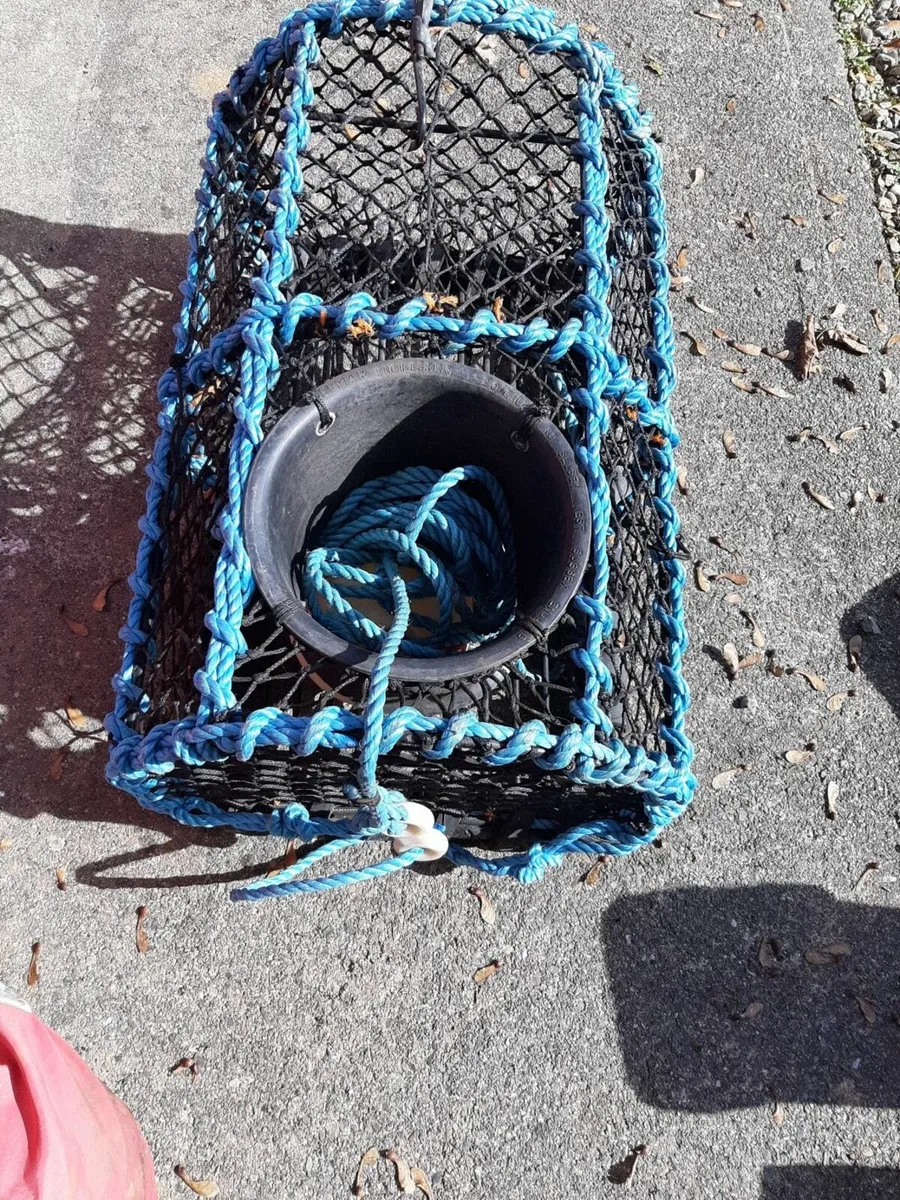 lobster pot creel - Image 3