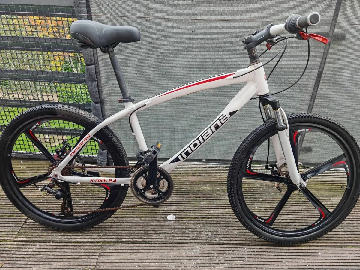 Indiana MTB bike with aluminum wheels - Image 3