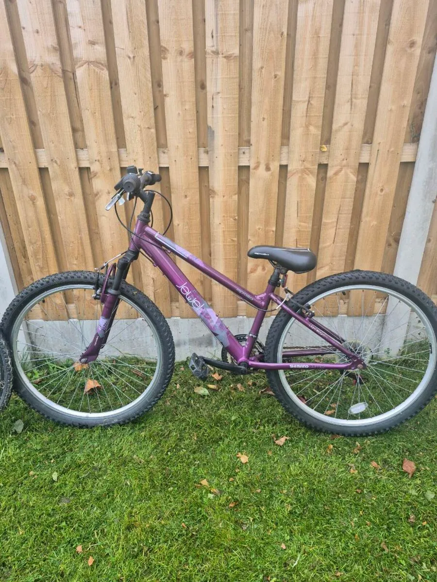 Apollo Bike - Image 1