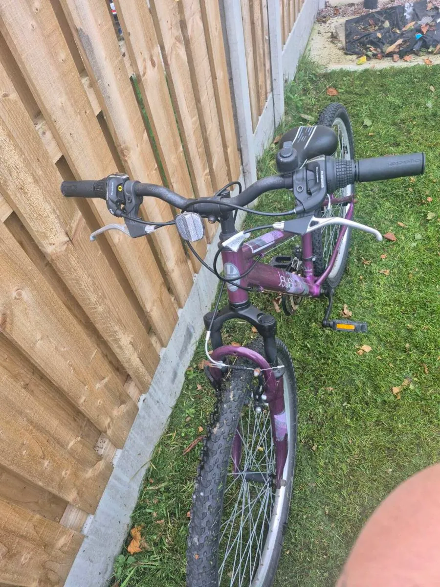 Apollo Bike - Image 3
