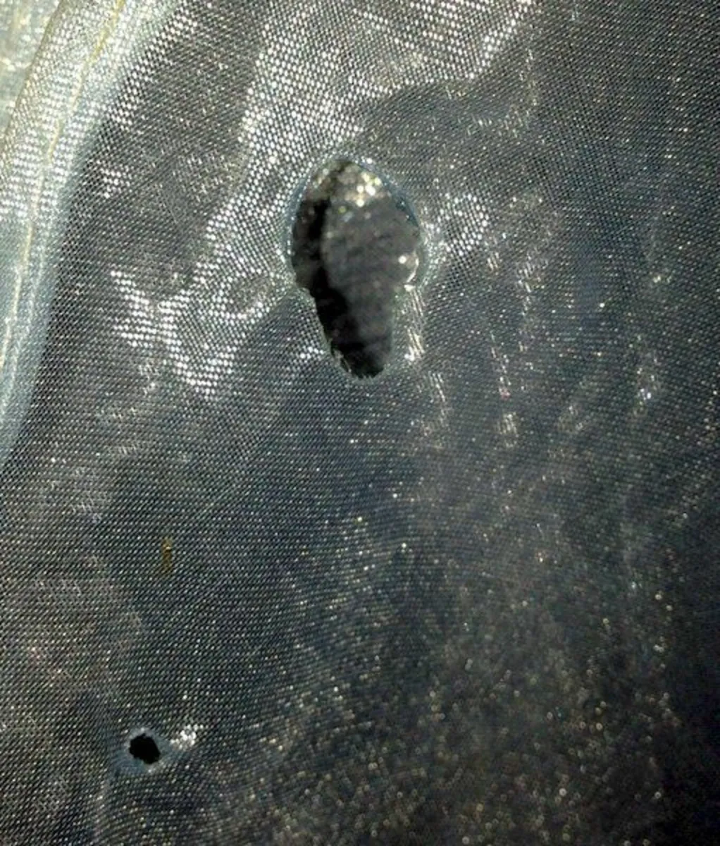 Dress - Image 4