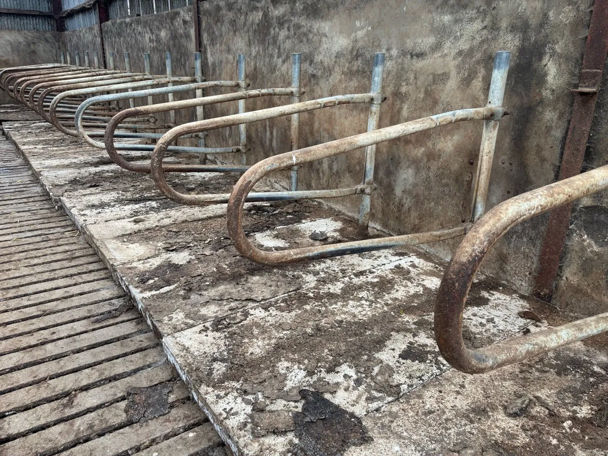 Teemore portable cubicles - Image 1