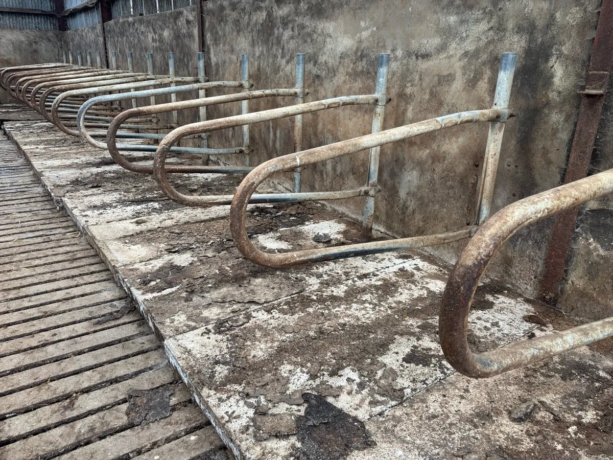 Teemore portable cubicles - Image 3
