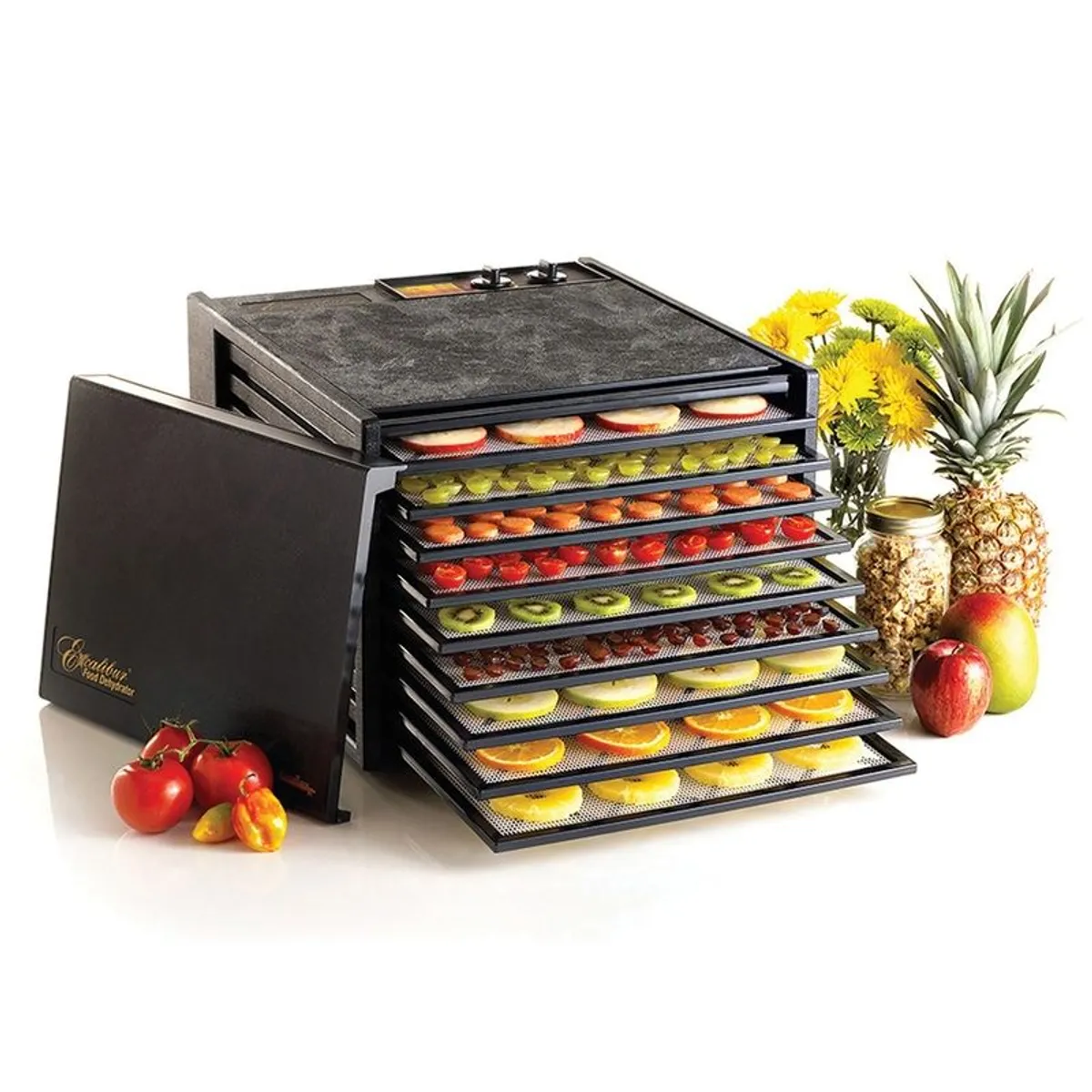 Digital Dehydrator - Image 2