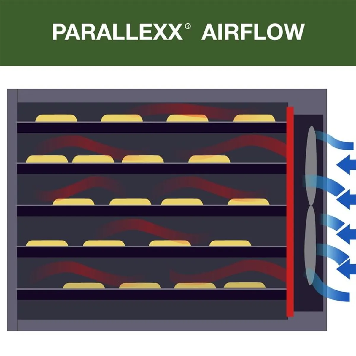 Digital Dehydrator - Image 4