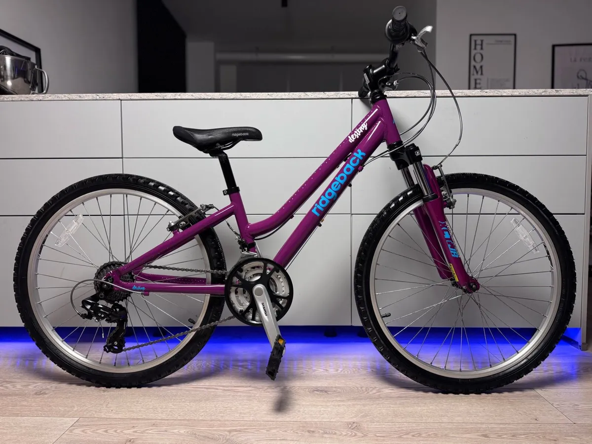 Ridgeback Destiny Junior Bike 24 inch - Image 1