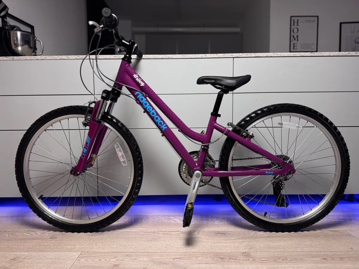 Ridgeback Destiny Junior Bike 24 inch - Image 2
