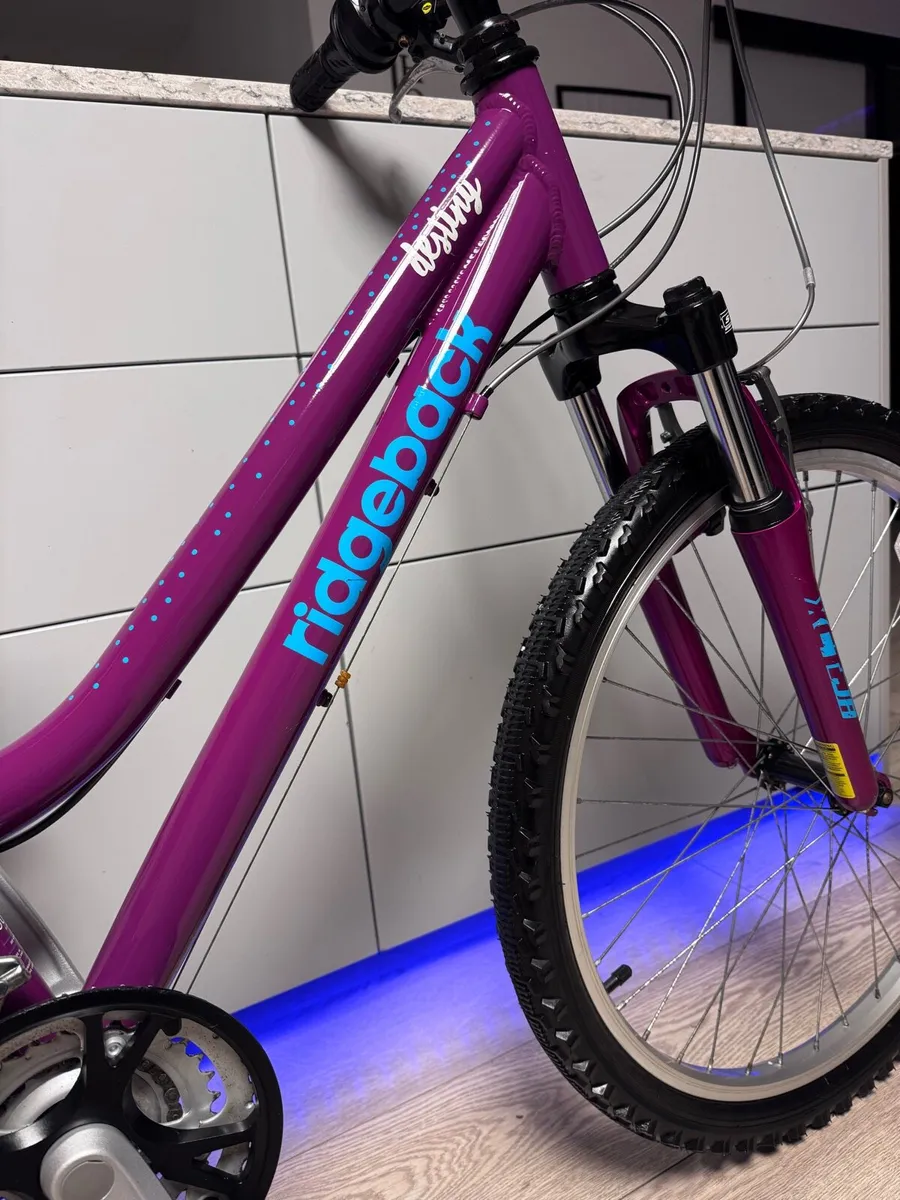 Ridgeback Destiny Junior Bike 24 inch - Image 3