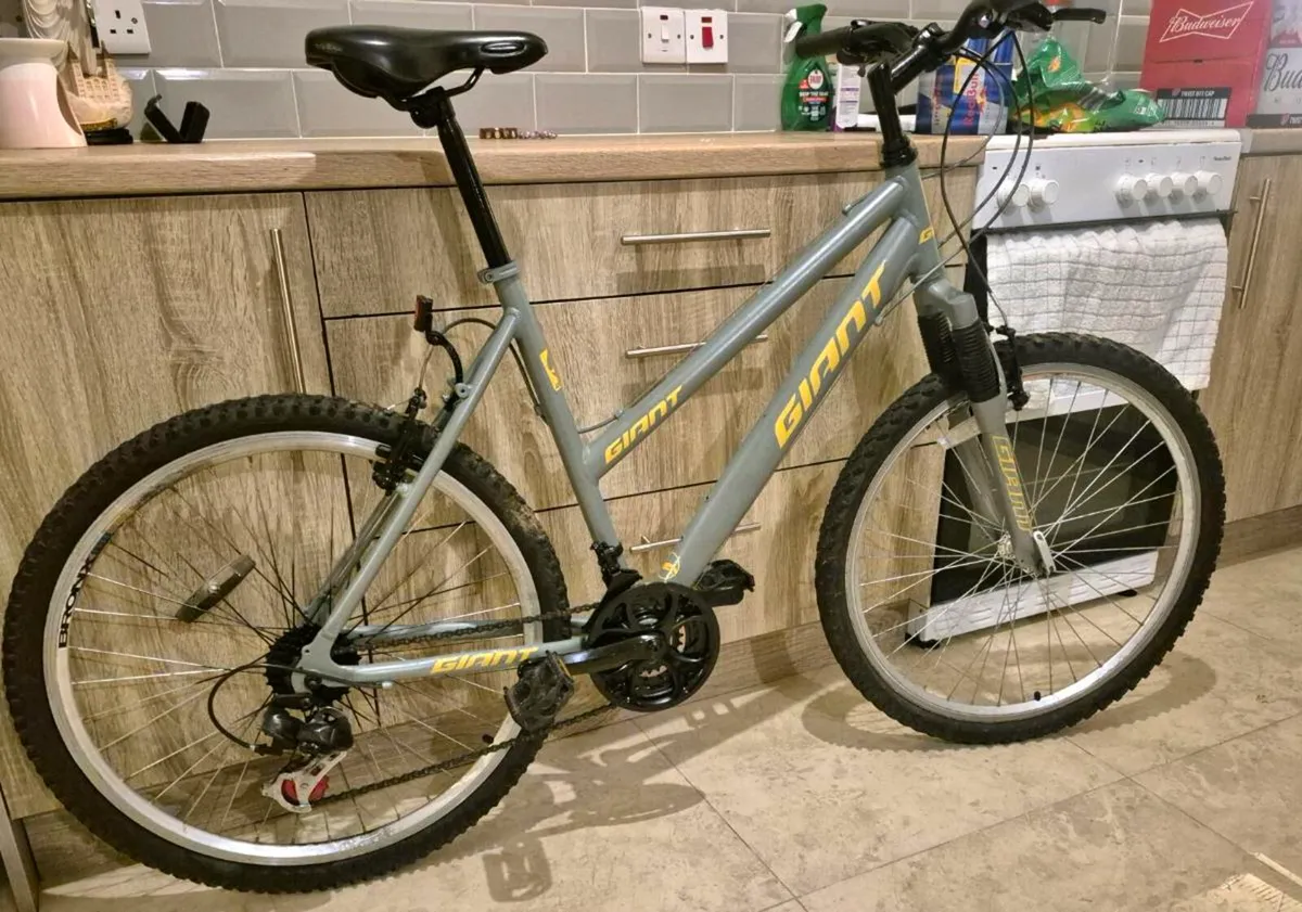 ADULTS GIANT BIKE 20" FRAME  FANTASTIC CONDITION B - Image 3