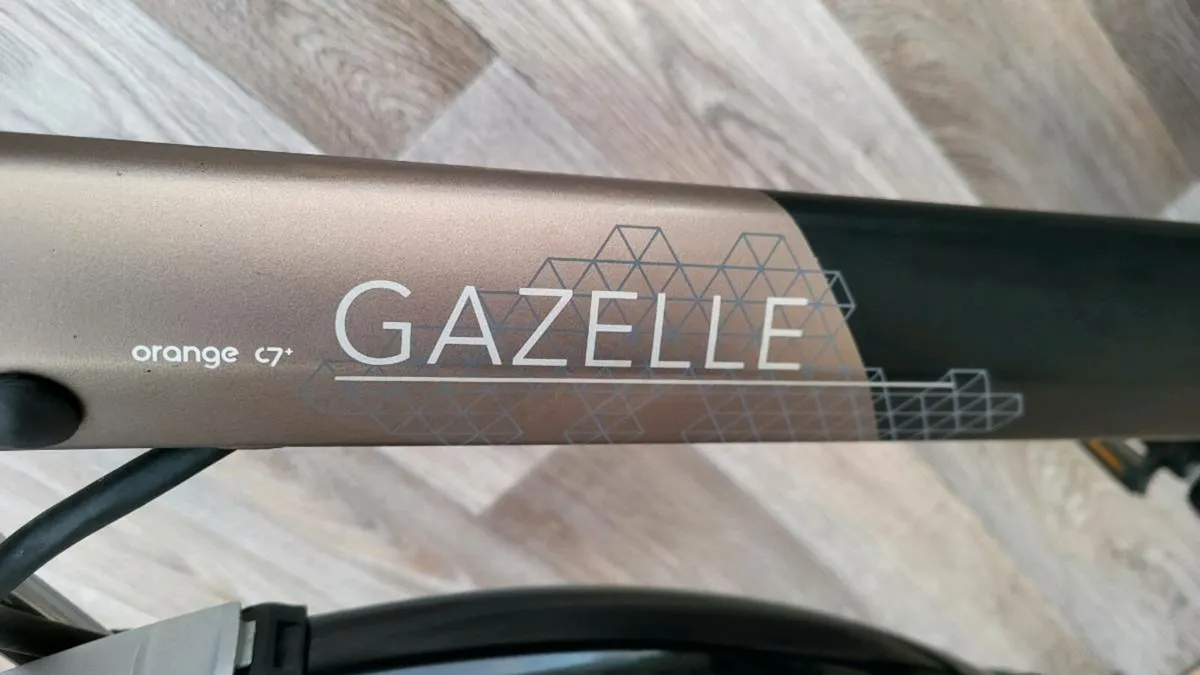 GAZELLE ORANGE C7 NEW - Image 2