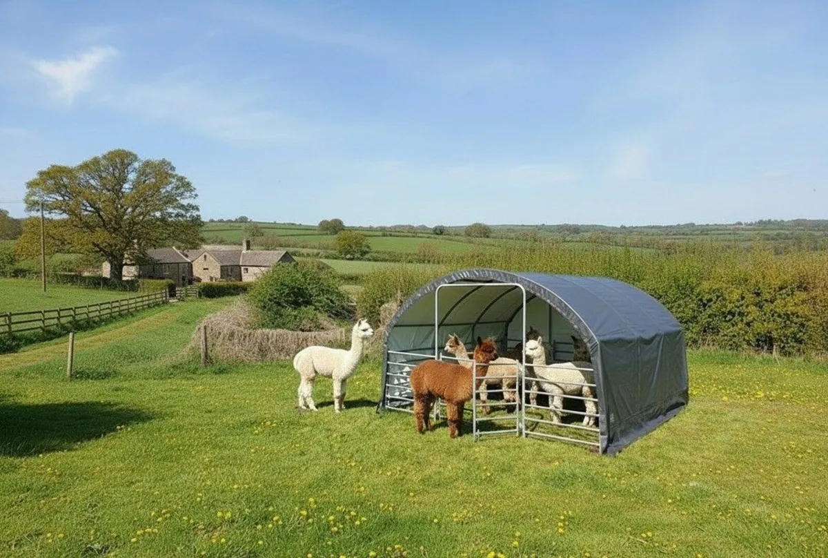 Heavy Duty Small Livestock Field Shelter 305gsm - Image 3
