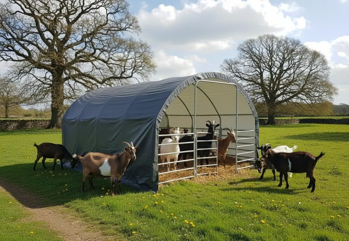 Heavy Duty Small Livestock Field Shelter 305gsm - Image 4