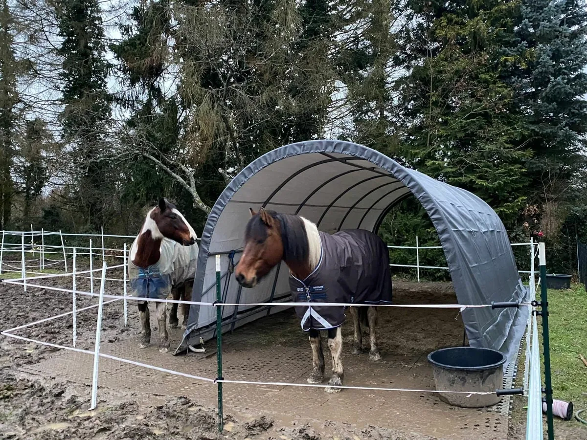 Heavy Duty Horse Shelter - Free Delivery - Image 3