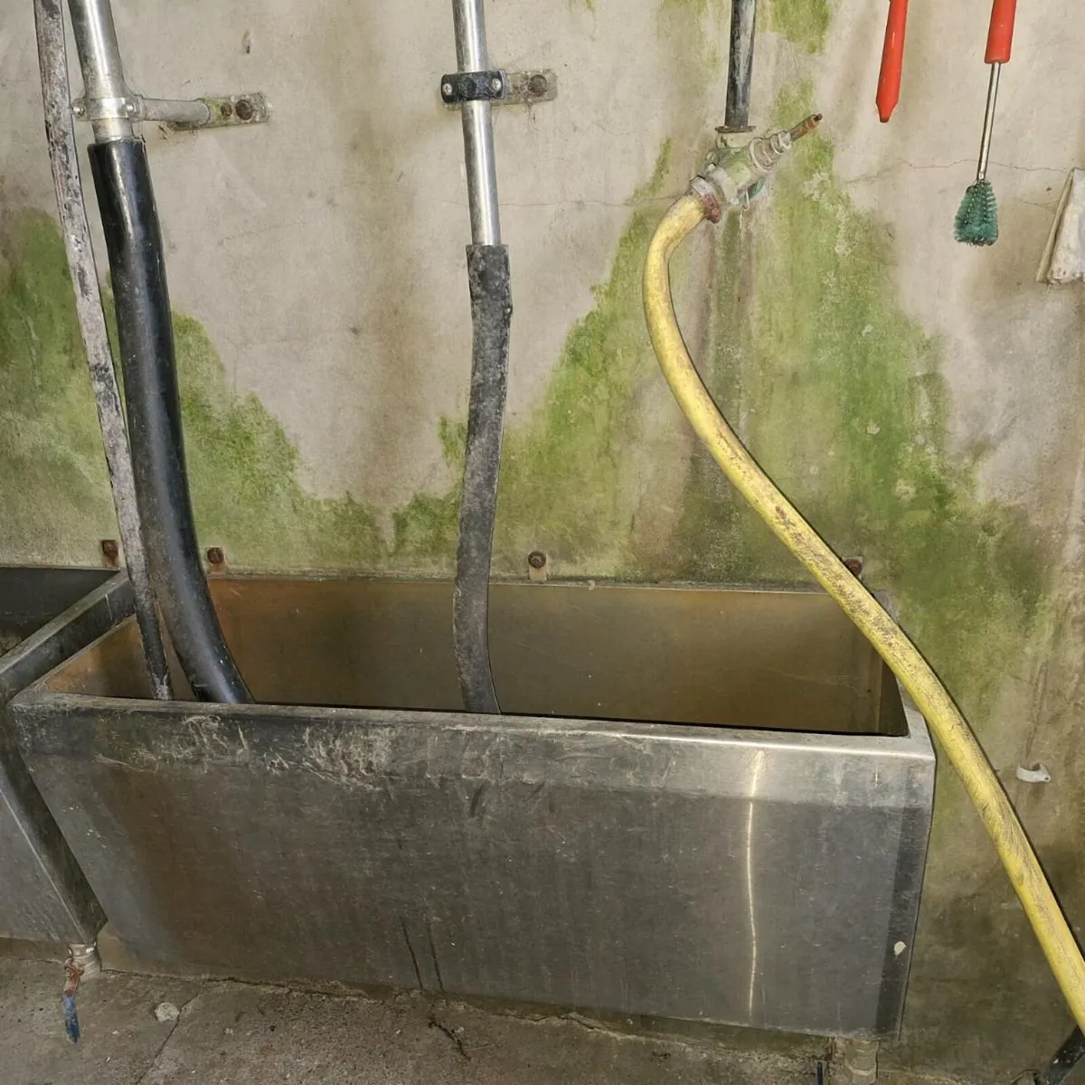 12 unit Delaval recording parlour - Image 2