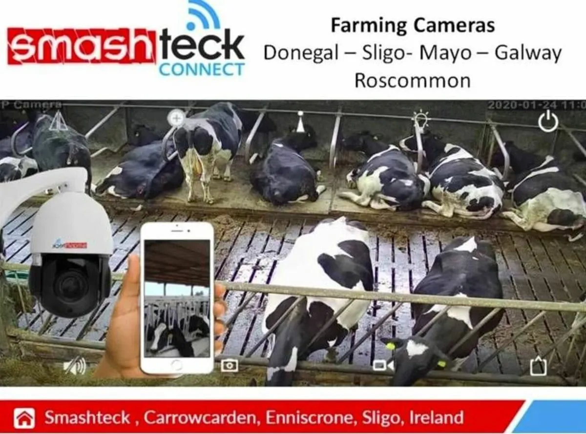 Calving / Lambing Cameras - West of Ireland - Image 1