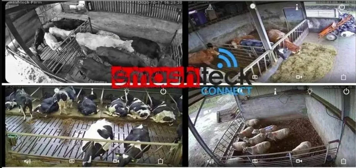 Calving / Lambing Cameras - West of Ireland - Image 2