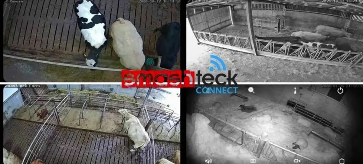 Calving / Lambing Cameras - West of Ireland - Image 3