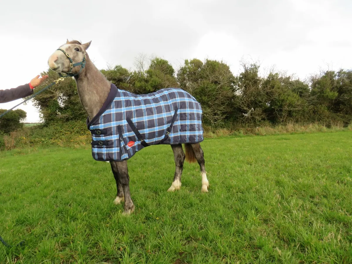 Winter Rugs available Stable and Turnout - Image 1