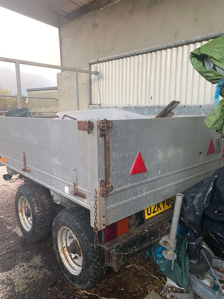 3 Tonne Tipping Trailer - Image 2