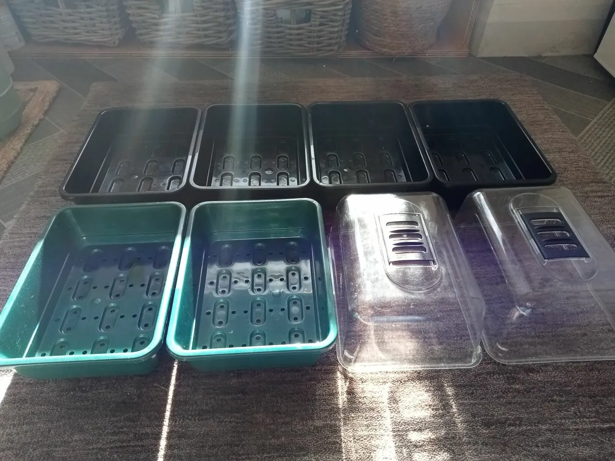 Electric Seed Tray Propagator - Image 3