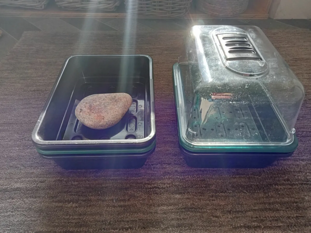 Electric Seed Tray Propagator - Image 4