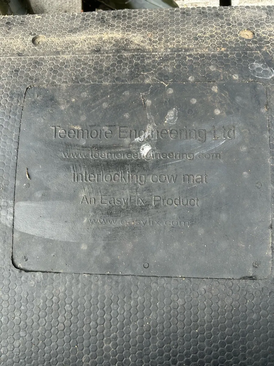8 Teemore Cows cubicle mats - Image 2