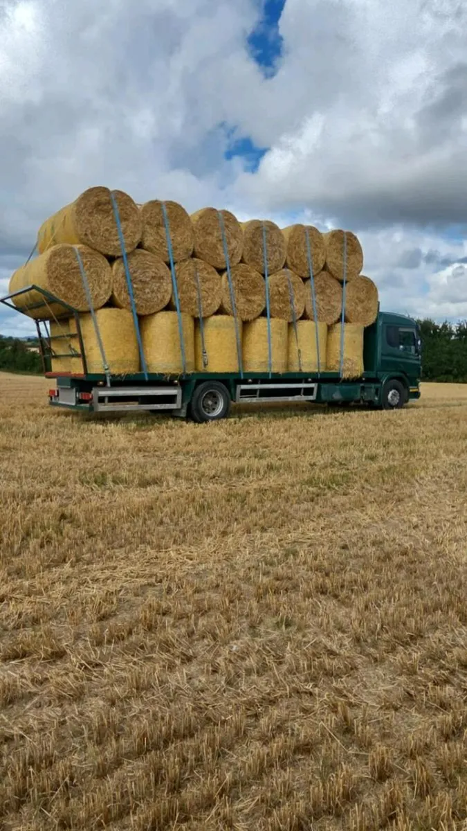 Straw - Image 2