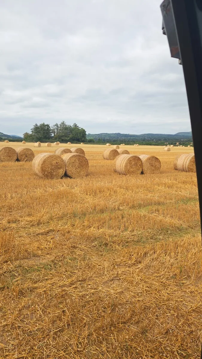 Straw - Image 3