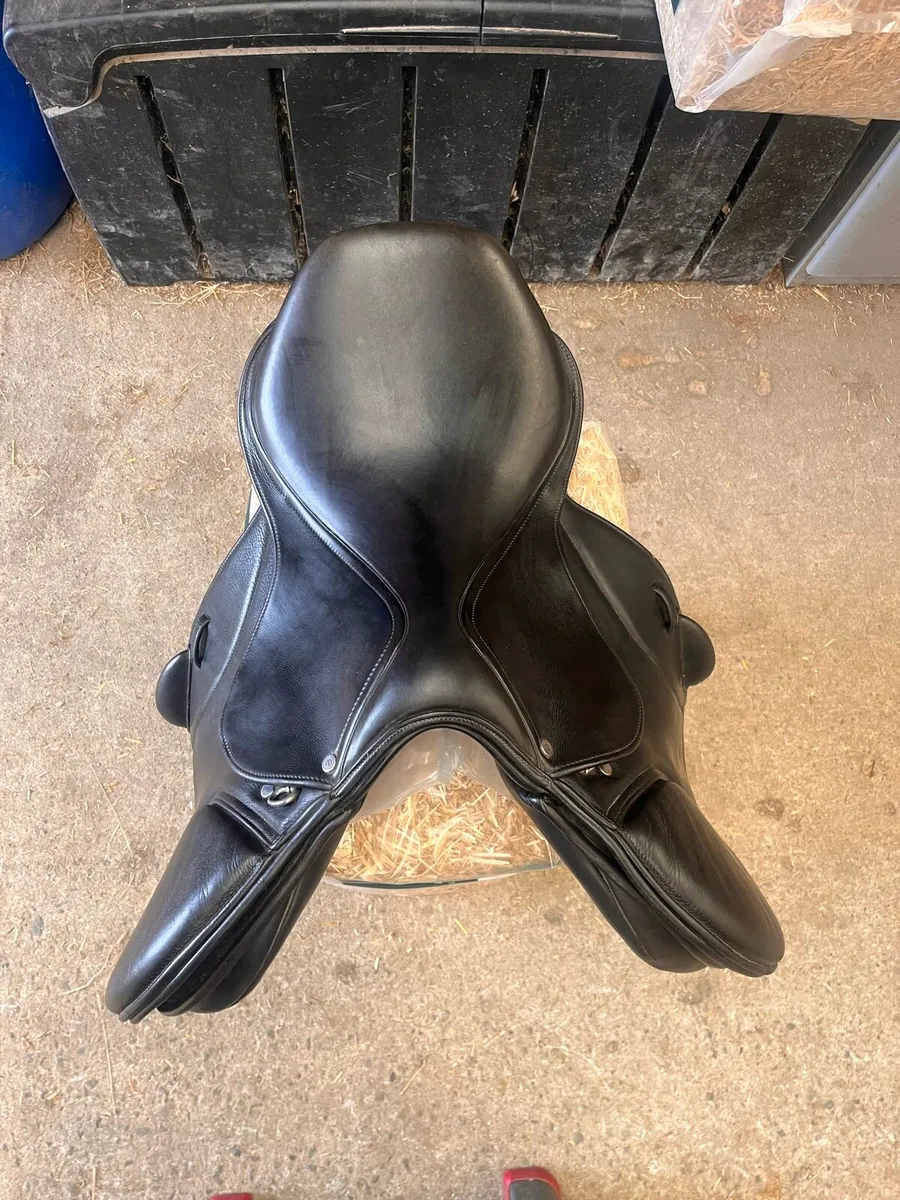 Saddle - Image 2