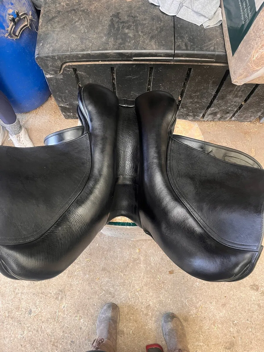 Saddle - Image 3