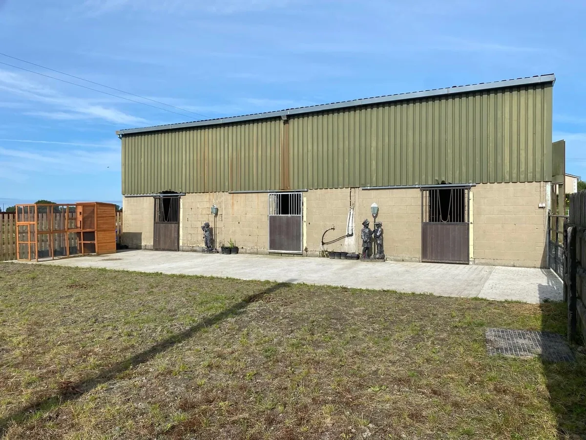 Winter livery - Image 1