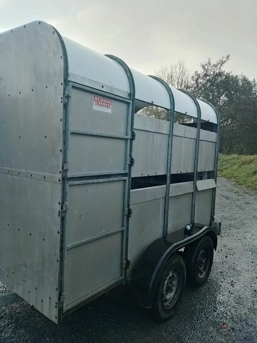 Hudson 8x5 cattle trailer, great condition - Image 1