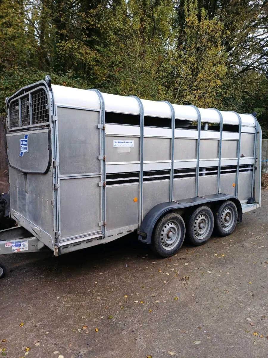 Ifor williams 14ft CATTLE TRAILER €5750 - Image 3