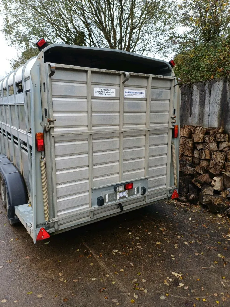 Ifor williams 14ft CATTLE TRAILER €5750 - Image 1