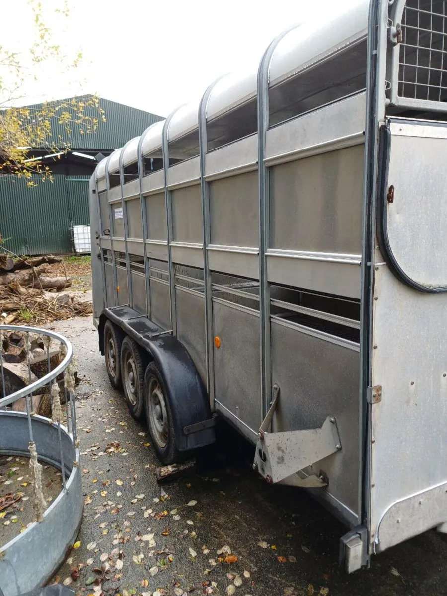 Ifor williams 14ft CATTLE TRAILER €5750 - Image 4