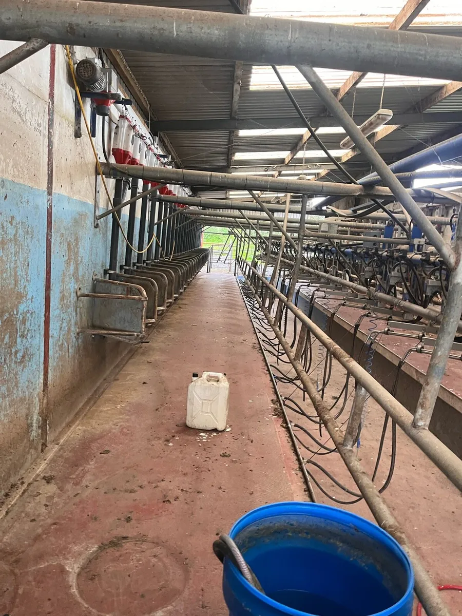 Milking parlour - Image 2