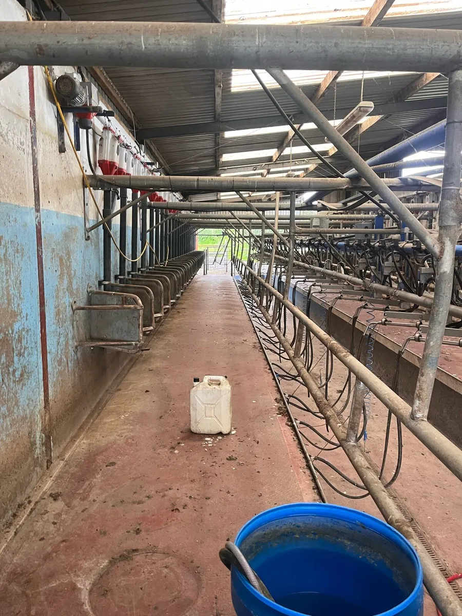 Milking parlour - Image 3