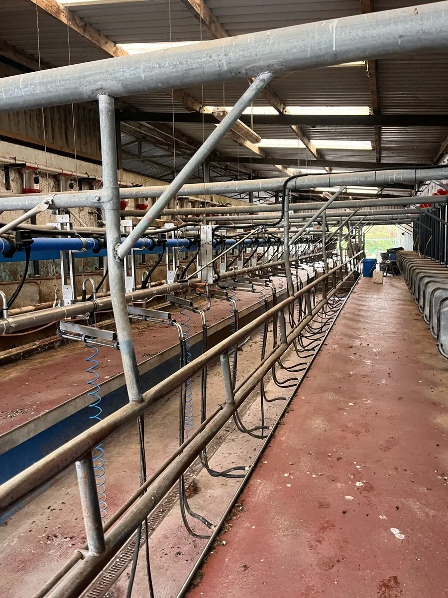 Milking parlour - Image 4