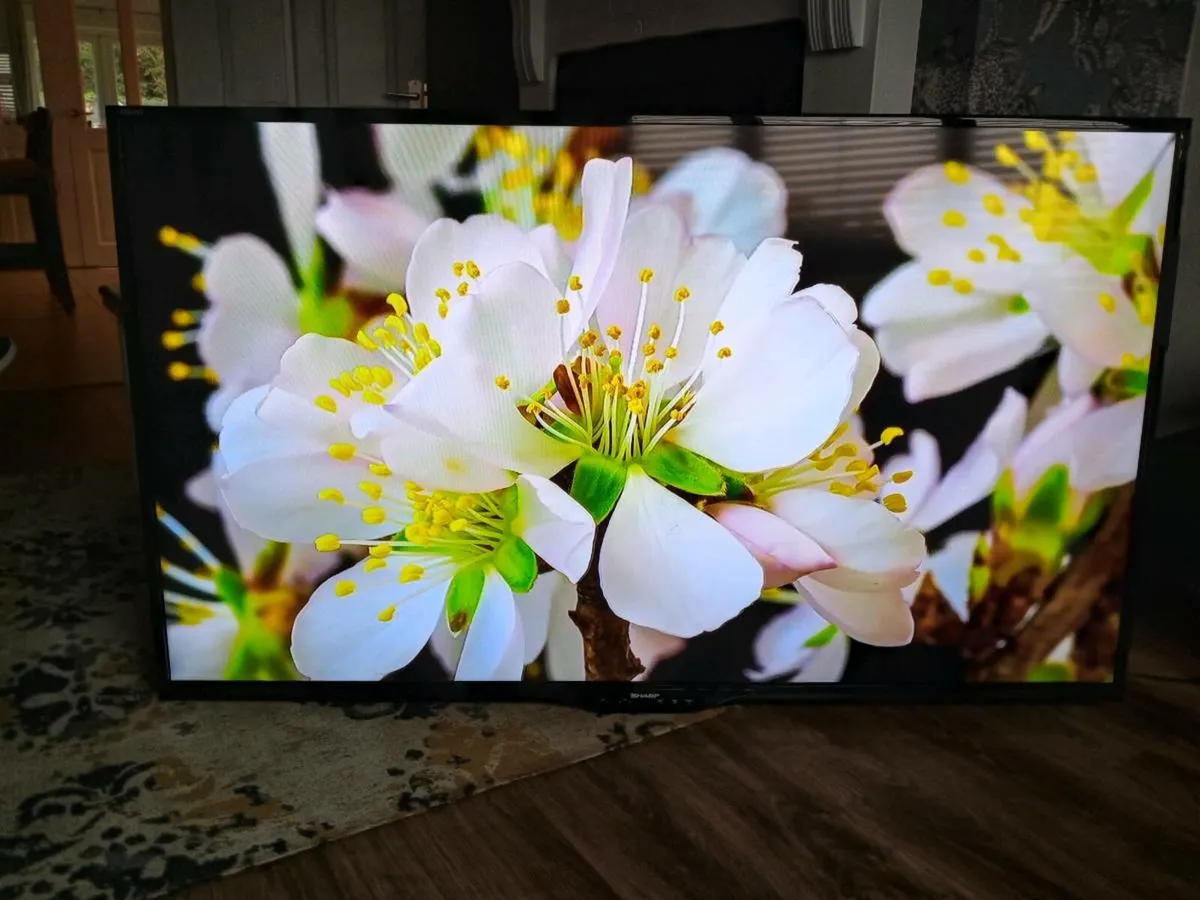 Sharp 60" Full HD TV (NOT SMART) - Image 4