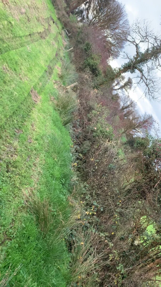 Digger work,ground work,lawns ext: - Image 3