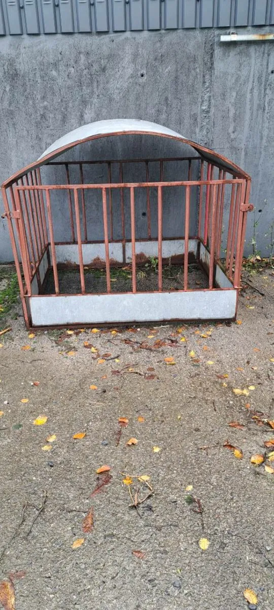 Sheep feeder - Image 1