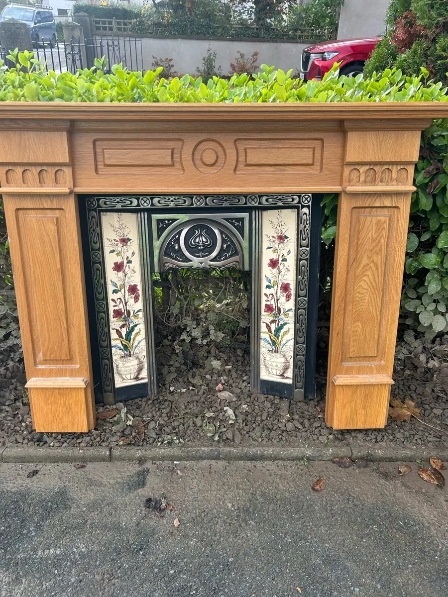 Fireplaces - Image 1
