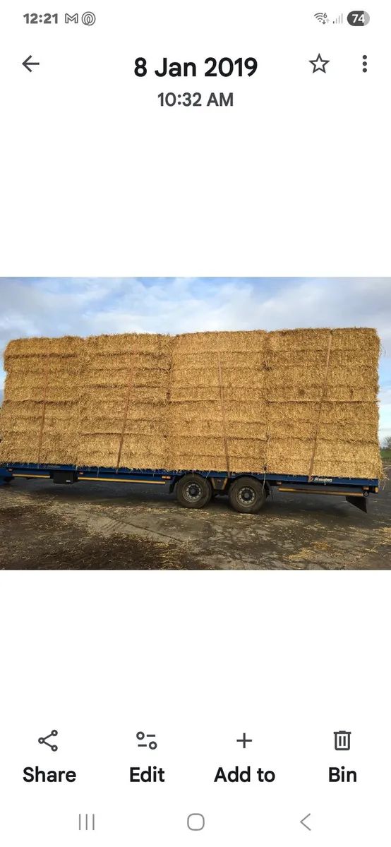 Straw - Image 2