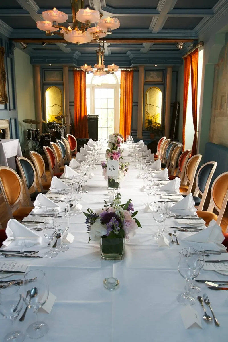 Dining Chairs - Image 1