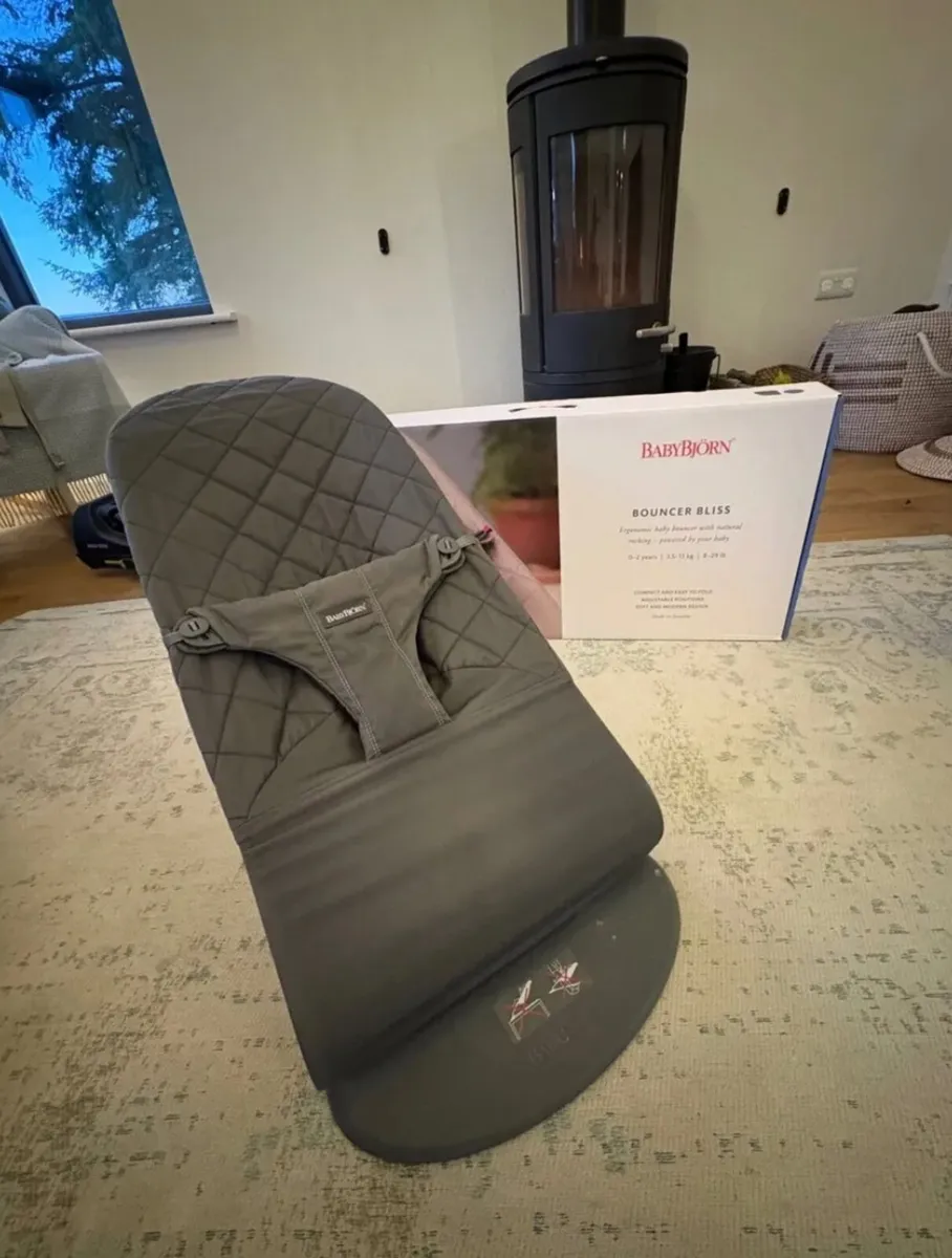 BabyBjörn Bouncer Seat