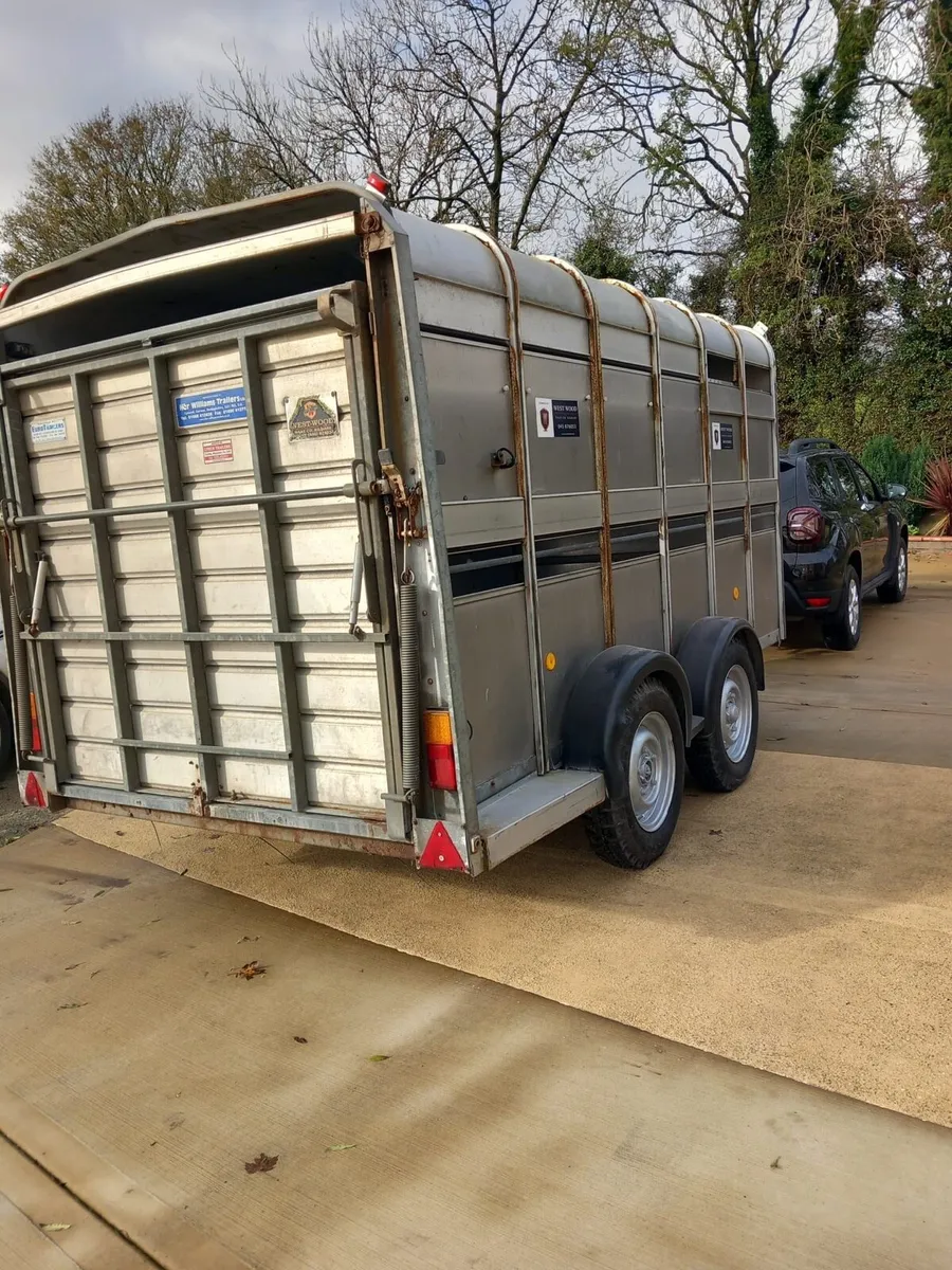 12 x 6 Ifor Williams trailer - Image 1