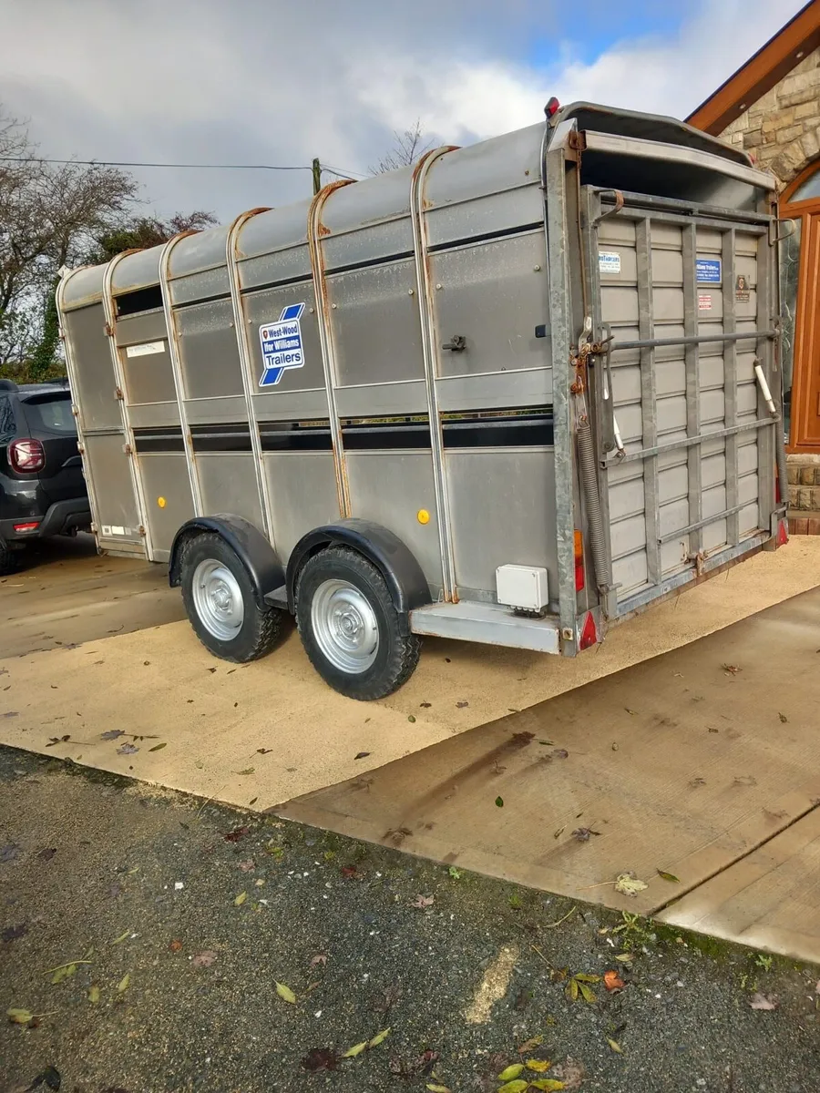 12 x 6 Ifor Williams trailer - Image 2