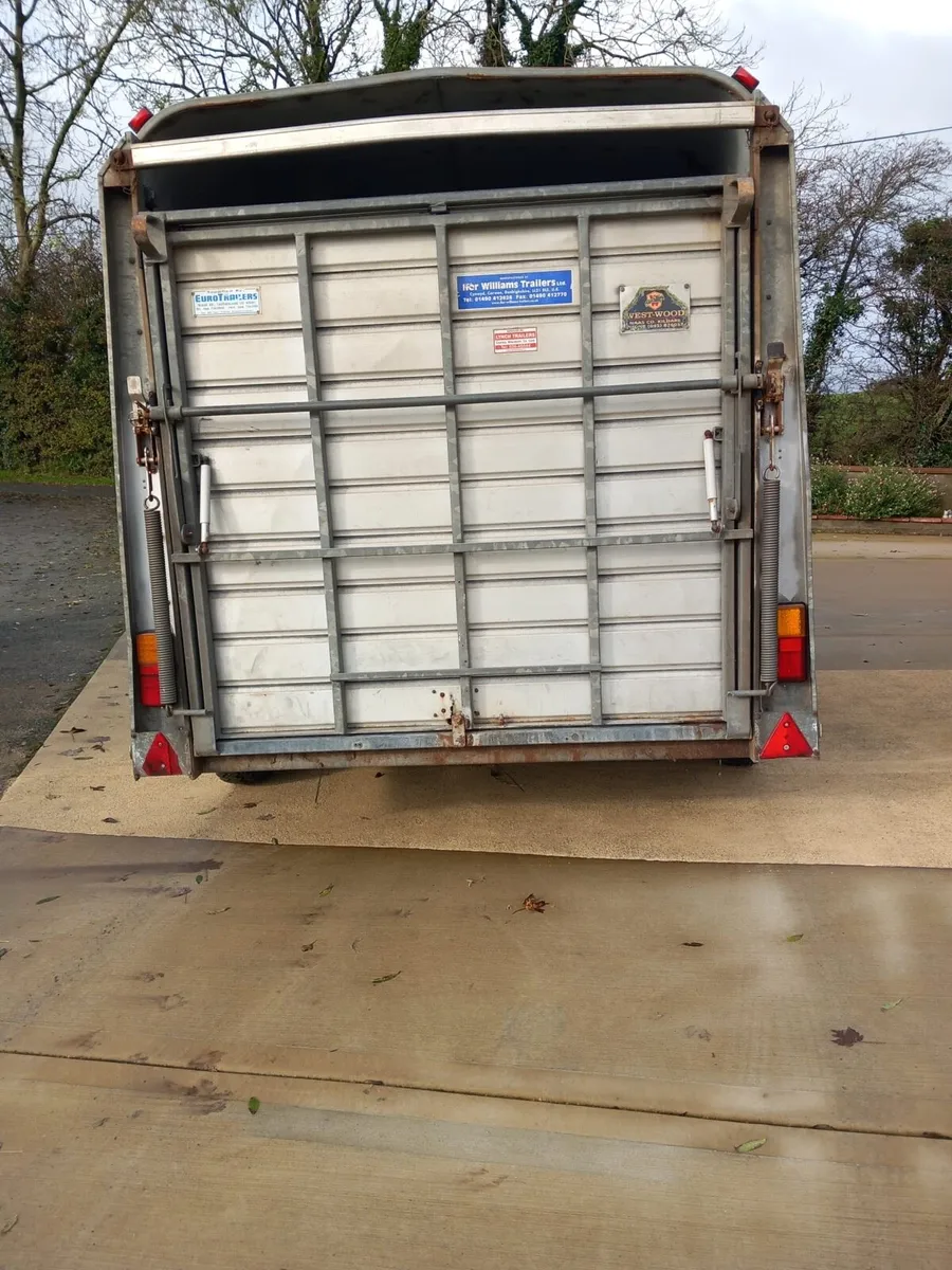 12 x 6 Ifor Williams trailer - Image 3